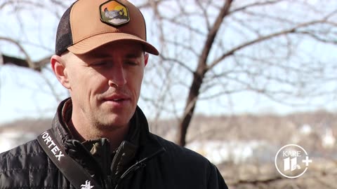 American birds are in rapid decline, including many here in Minnesota