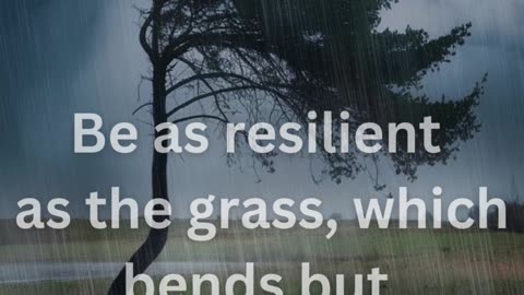 Be as resilient as the grass, which bends but never breaks in the storm.