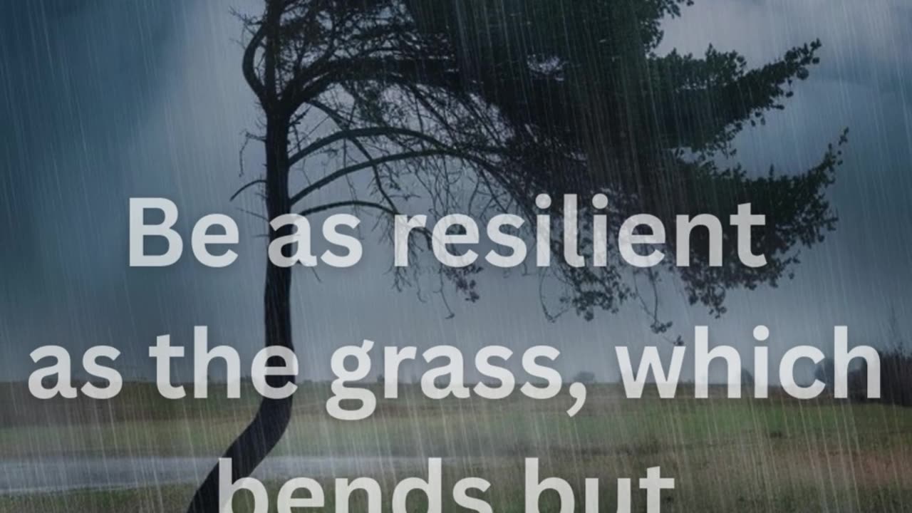 Be as resilient as the grass, which bends but never breaks in the storm.