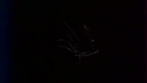 Poppy Playtime Assets Chapter 3 - Prototype : Do you feel anything?