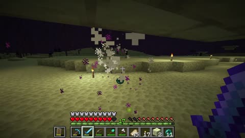 Triggering Endermen in the End for fun