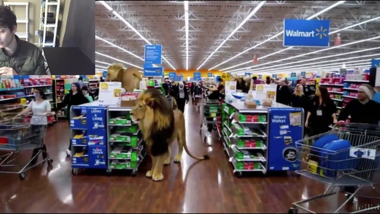 Over 5 Fictitious Lions Roam Around A Walmart Supercenter Fake Strange Video