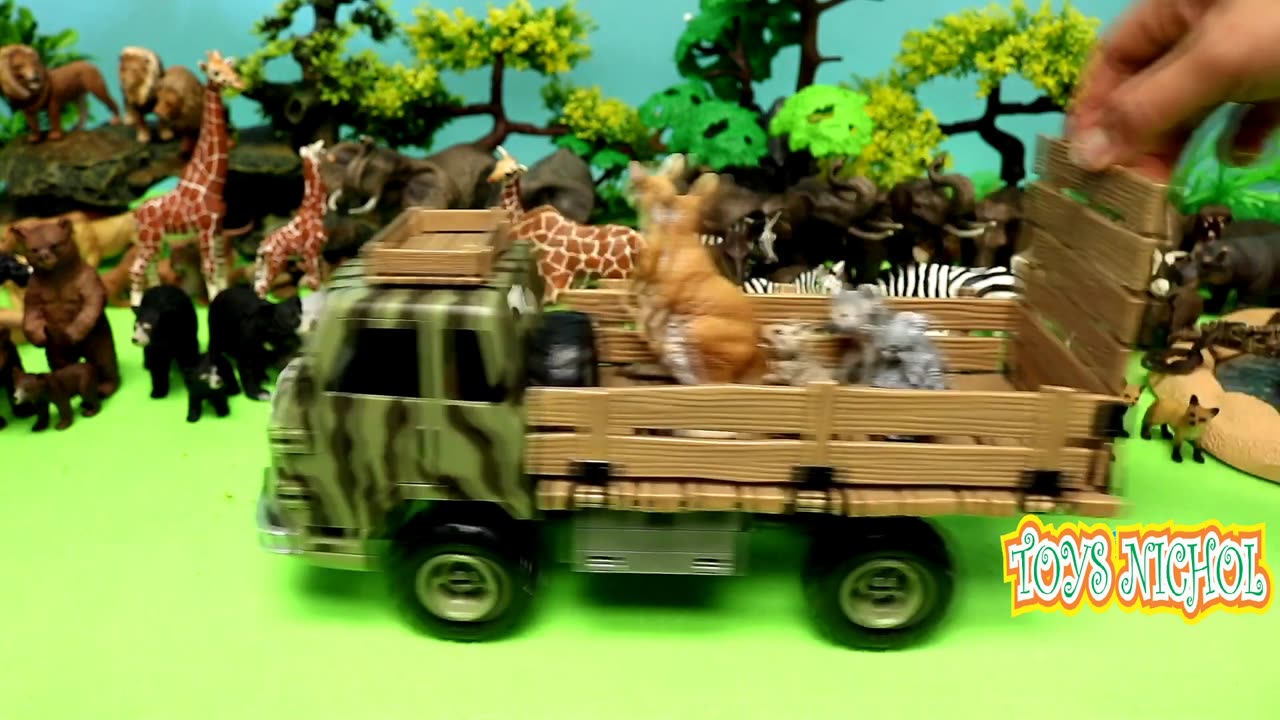 Truck Carrying Animals from the Forest to the Zoo