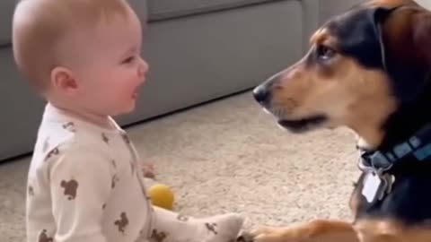 Cute Baby Playing with Animals | Adorable Baby and Pet Moments 2025