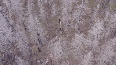 searchimng for Devon-5 up high