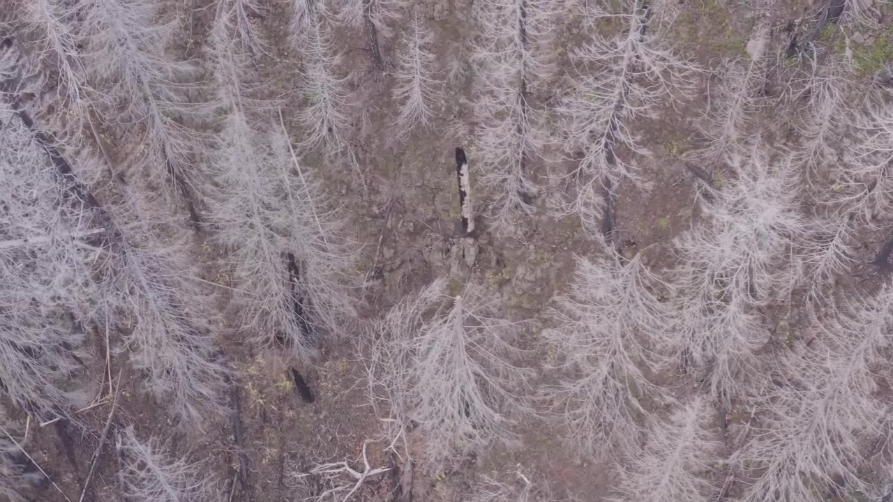 searchimng for Devon-5 up high