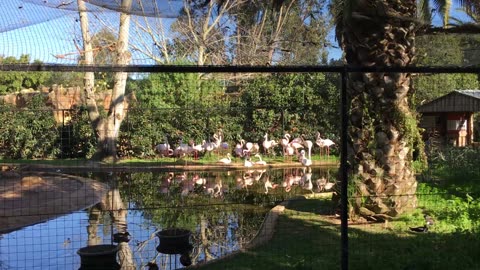 Lagos Zoo (Algarve, Portugal) 15