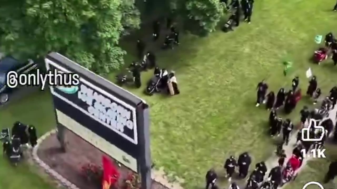 What's Going On in Michigan?