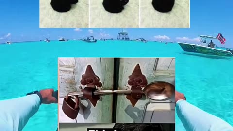 #funny #memes #fyp
