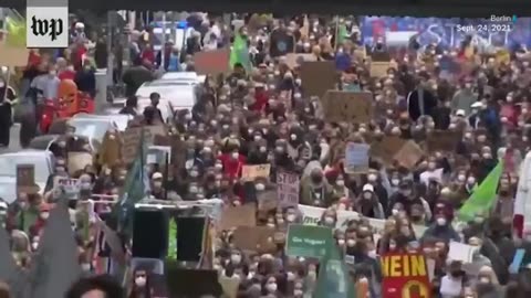 Too Close to the Trees to See There's a Bigger Forest