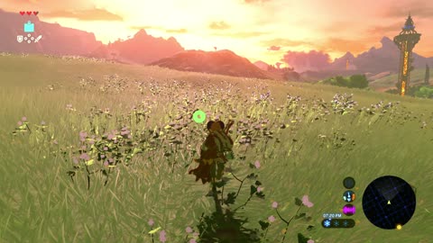 Breath of the wild Part 2
