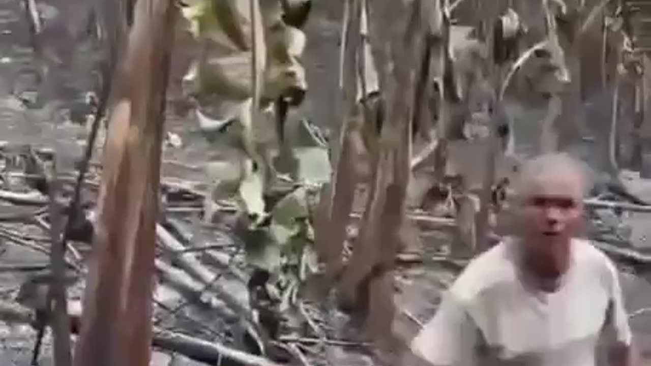 Fogo na Amazônia:Agricultor perdeu o bananal. O grupo criminoso do Lula ladrão o MST colocou fogo, tudo isso é para desapropriação nos próximos anos,grave isso! 2024-08-30