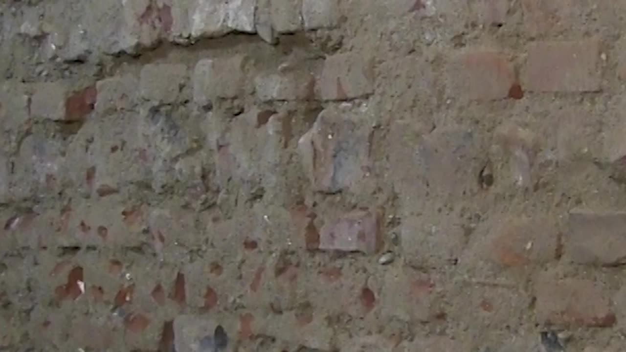 SECONDA Mano di Osmotica che RISULTATO!