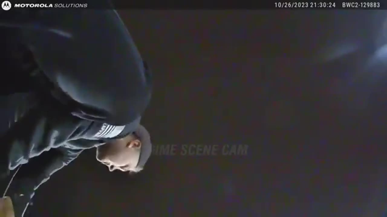 Niggers of Walmart Sheboon runs from da poe poe