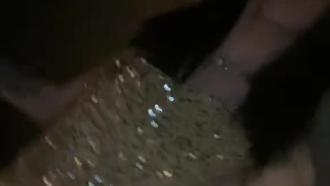 Brunette european tgirl to you