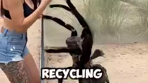 Incredible: Fascinating Animal Facts You Won’t Believe! #facts #animals #wildlif