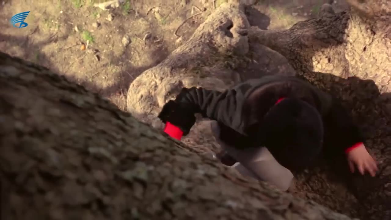 Arım Balım Peteğim