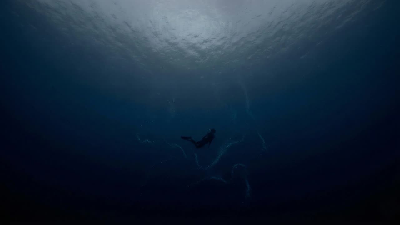 Sinking Into the Dark