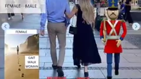 Q GAIT: Jordan Peterson #EGI