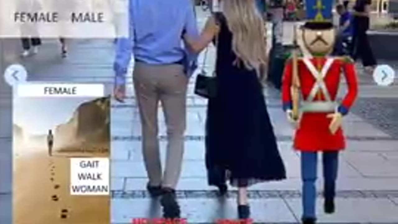 Q GAIT: Jordan Peterson #EGI