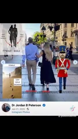 Q GAIT: Jordan Peterson #EGI