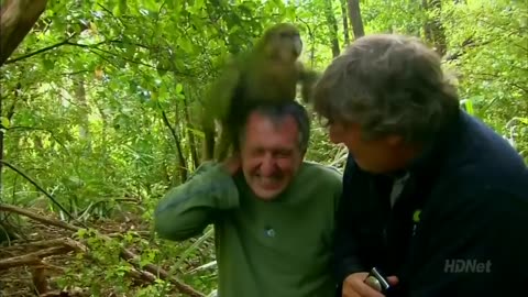 🤯 Parrot Attack! Filming Gone Wild | FunFM