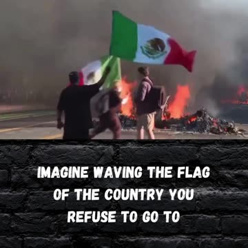 Zero common sense anymore