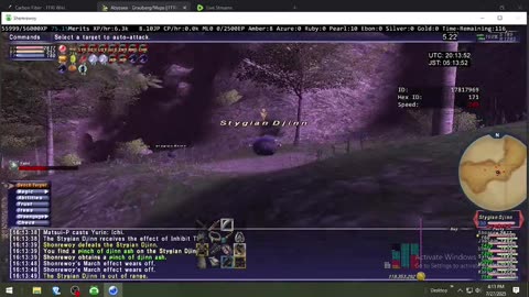 Playing Final Fantasy XI Online