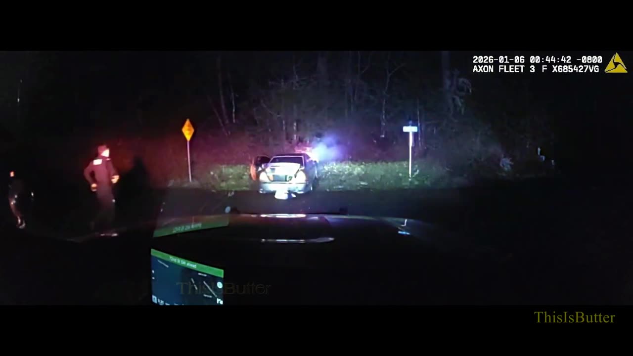 Dog ejected through windshield during high-speed chase