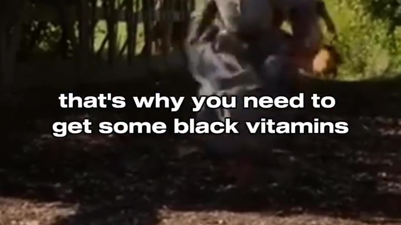 War against Afrikan people