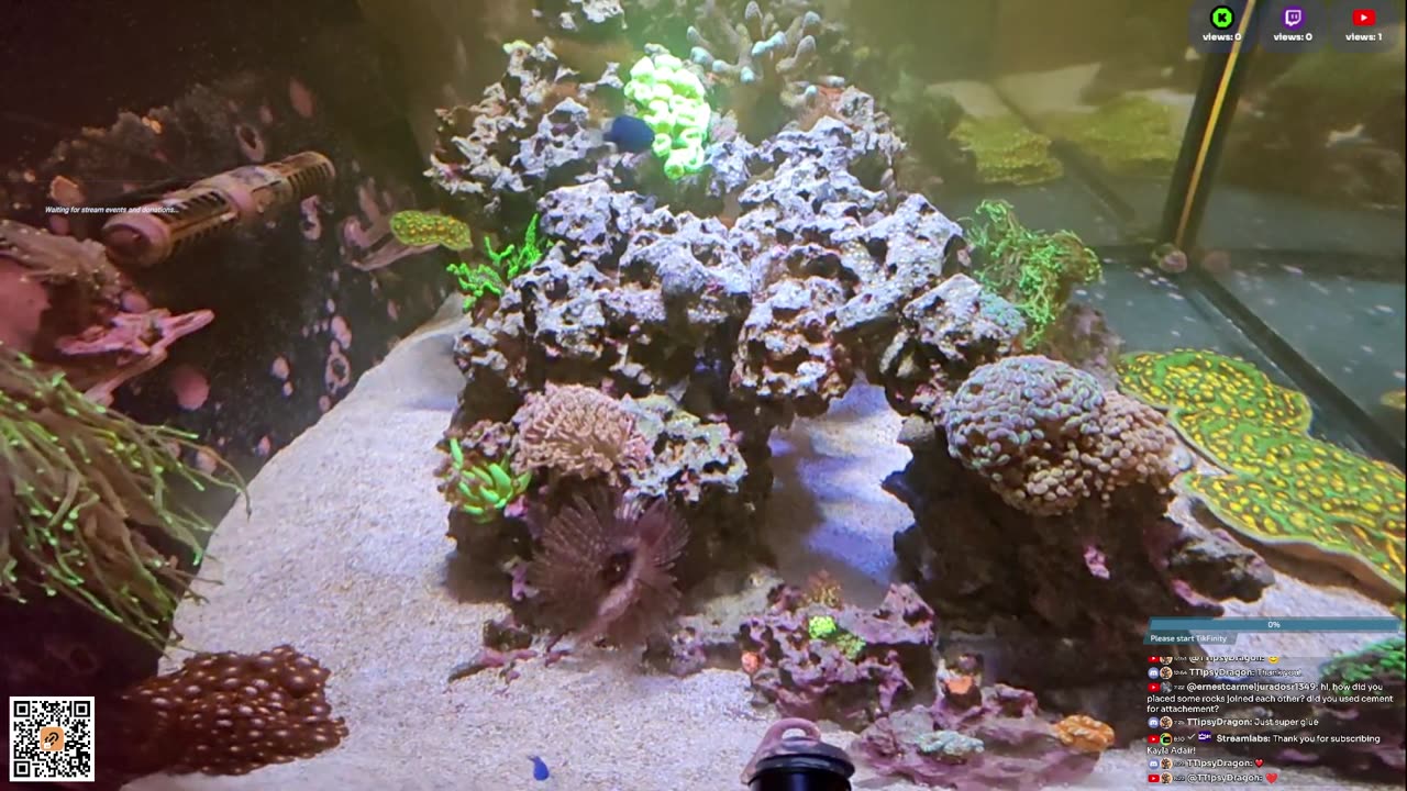 24/7 Real Live Reef Stream