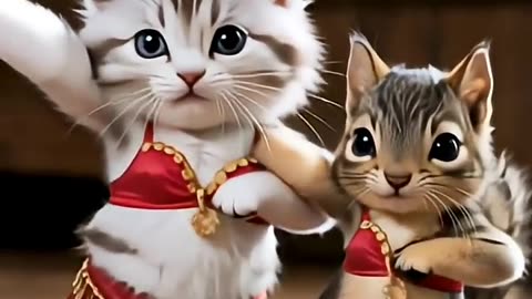 wow so cute cat dance billi wala cat videos #cats #catvideos #funny #viralshorts