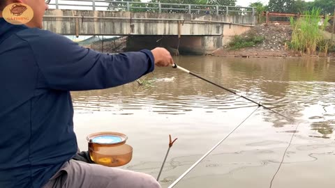 Nighttime Catfish Hunt in a Calm River