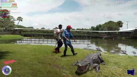 Funny Mike Family get CHASED BY ALLIGATORS 🐊🐊and he left EVERYONE 🤣😭😂