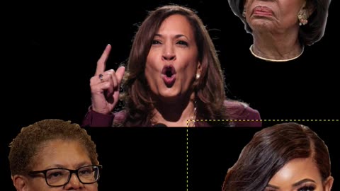 Democrats 2028 Choice for President