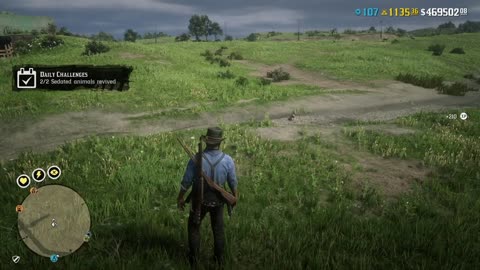 RDO * Naturalist Daily Challenge ~ 2 Sedated Animals Revived