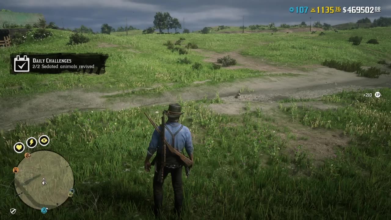 RDO * Naturalist Daily Challenge ~ 2 Sedated Animals Revived