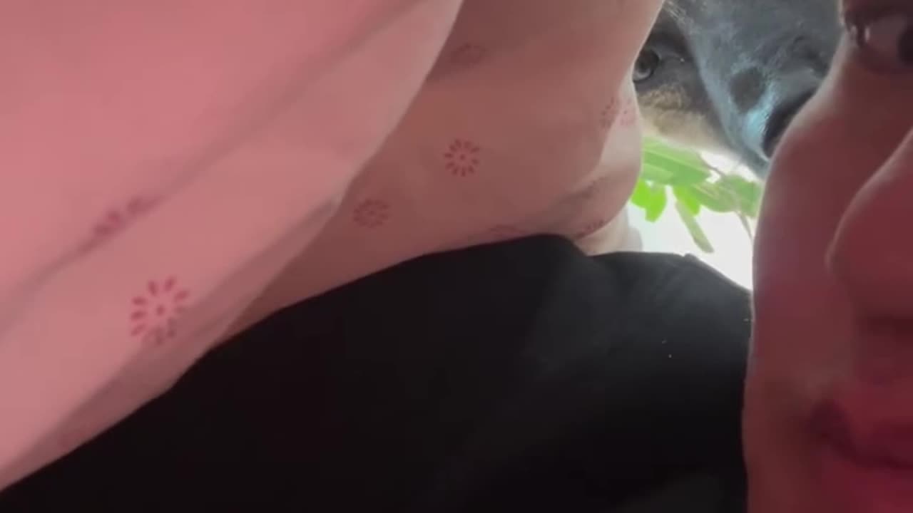 Hey buddy what you snacking on there 😂