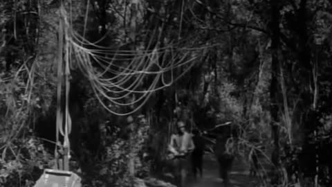 COMBAT! s.3 ep.24: A Walk with an Eagle (1965)