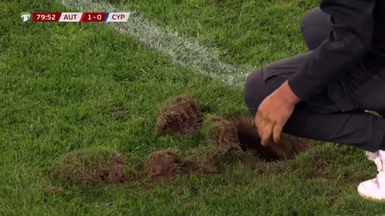 MUST LOOK: Bizzare situation in Austria