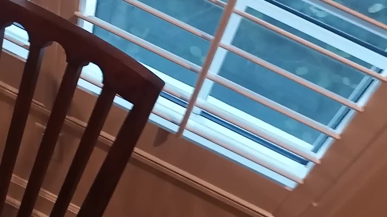 I'm back, bitches! Happy almost Halloween! Part 3