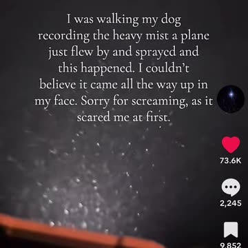 They come from the Stars...