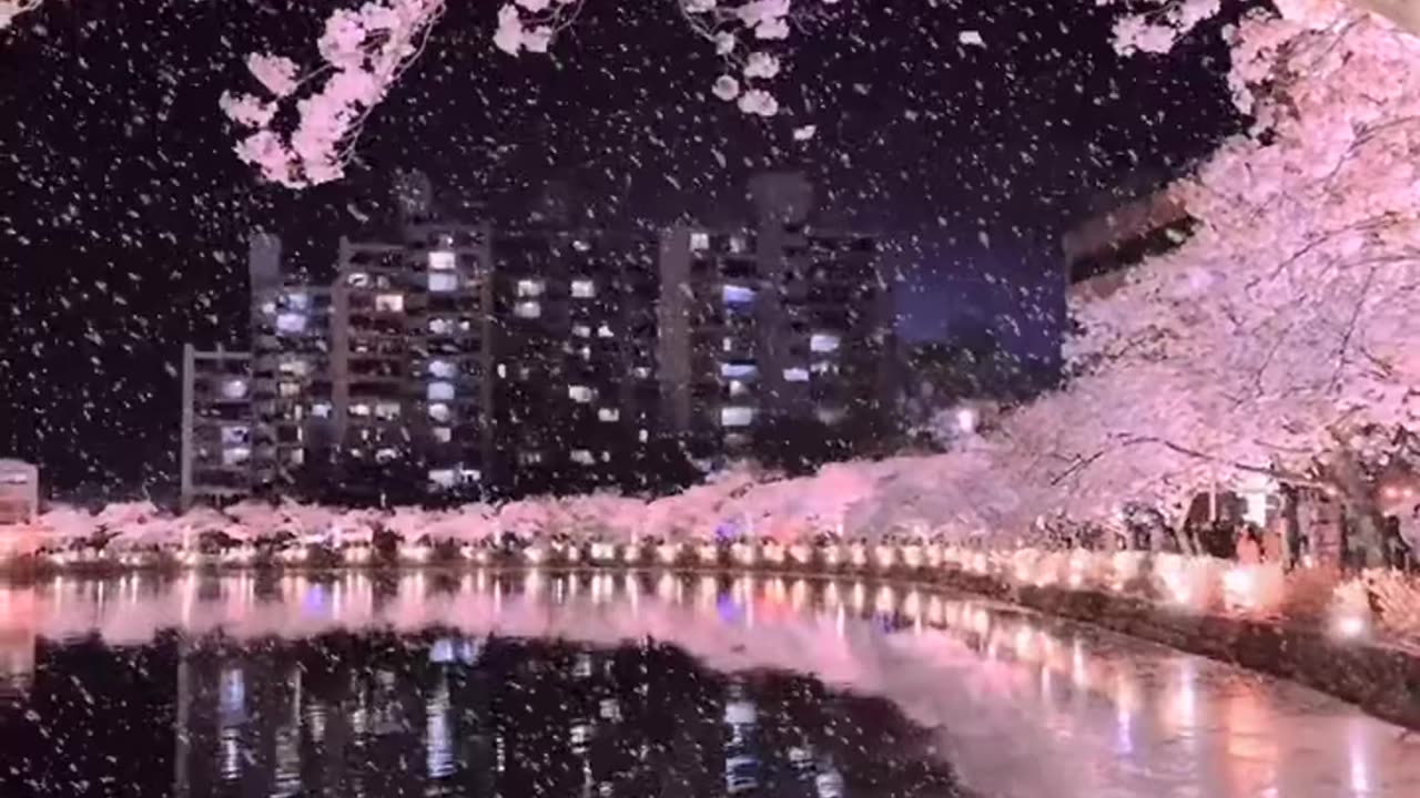 Amazing