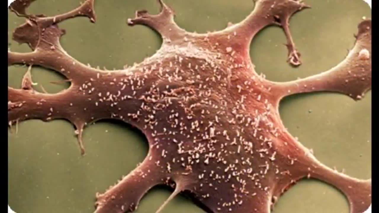 Something Strange Inside Us Part 2