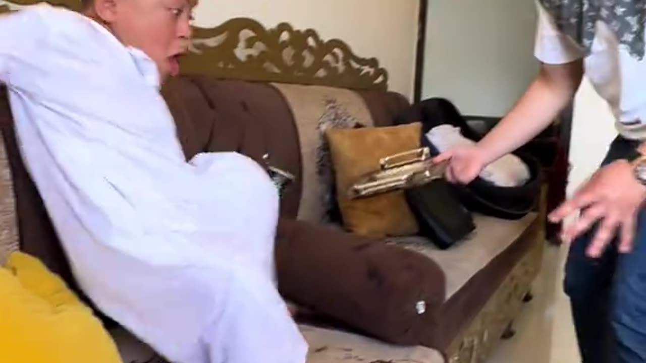 Funny Videos