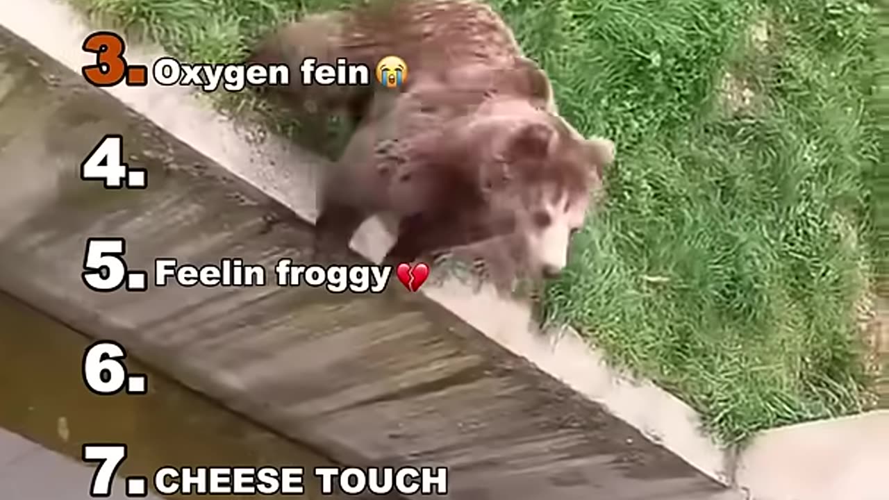 Funniest Medazelliš¤£