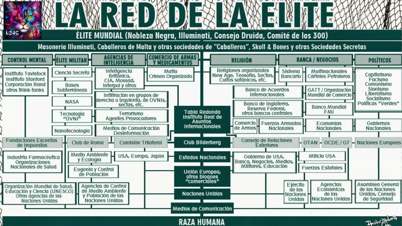 Distraídos divididos atontados