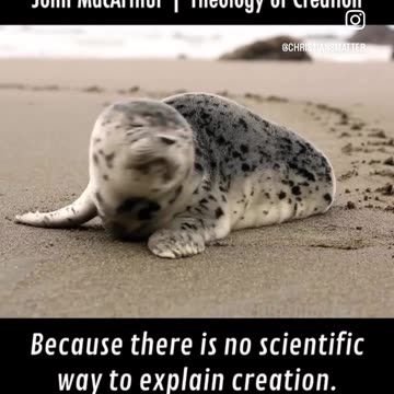 Pastor John MacArthur | Theology of Creation. #creation