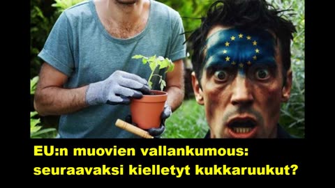 EUn muovien vallankumous - seuraavaksi kielletyt kukkaruukut