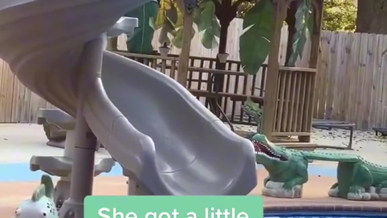 OOPS! 🐱😂 This Cat’s Epic Fail Will Have You Crying with Laughter!